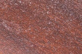 對(duì)于家里灰塵的清理，有什么方法嗎？